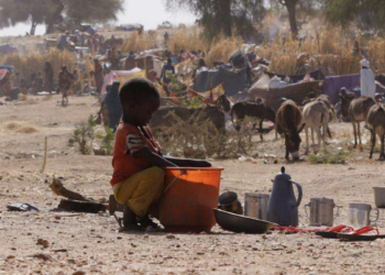scans-el-fasher-sudan