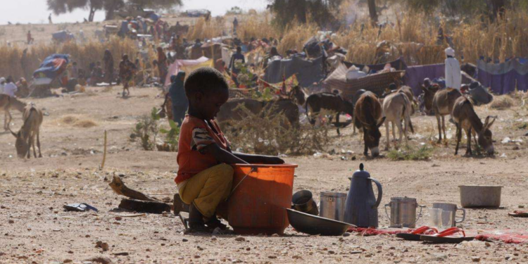scans-el-fasher-sudan