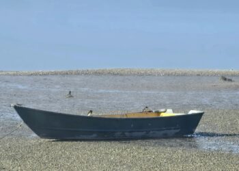 Photo by Louise Smith on Unsplash