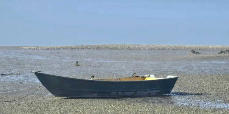 Photo by Louise Smith on Unsplash