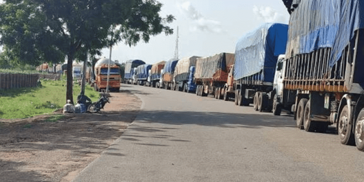 Nigeria reopens Benin, Niger borders to stimulate regional trade