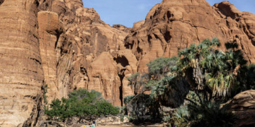 scans-French-tourist-dead-in-Chad